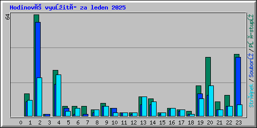 Hodinové využití za leden 2025
